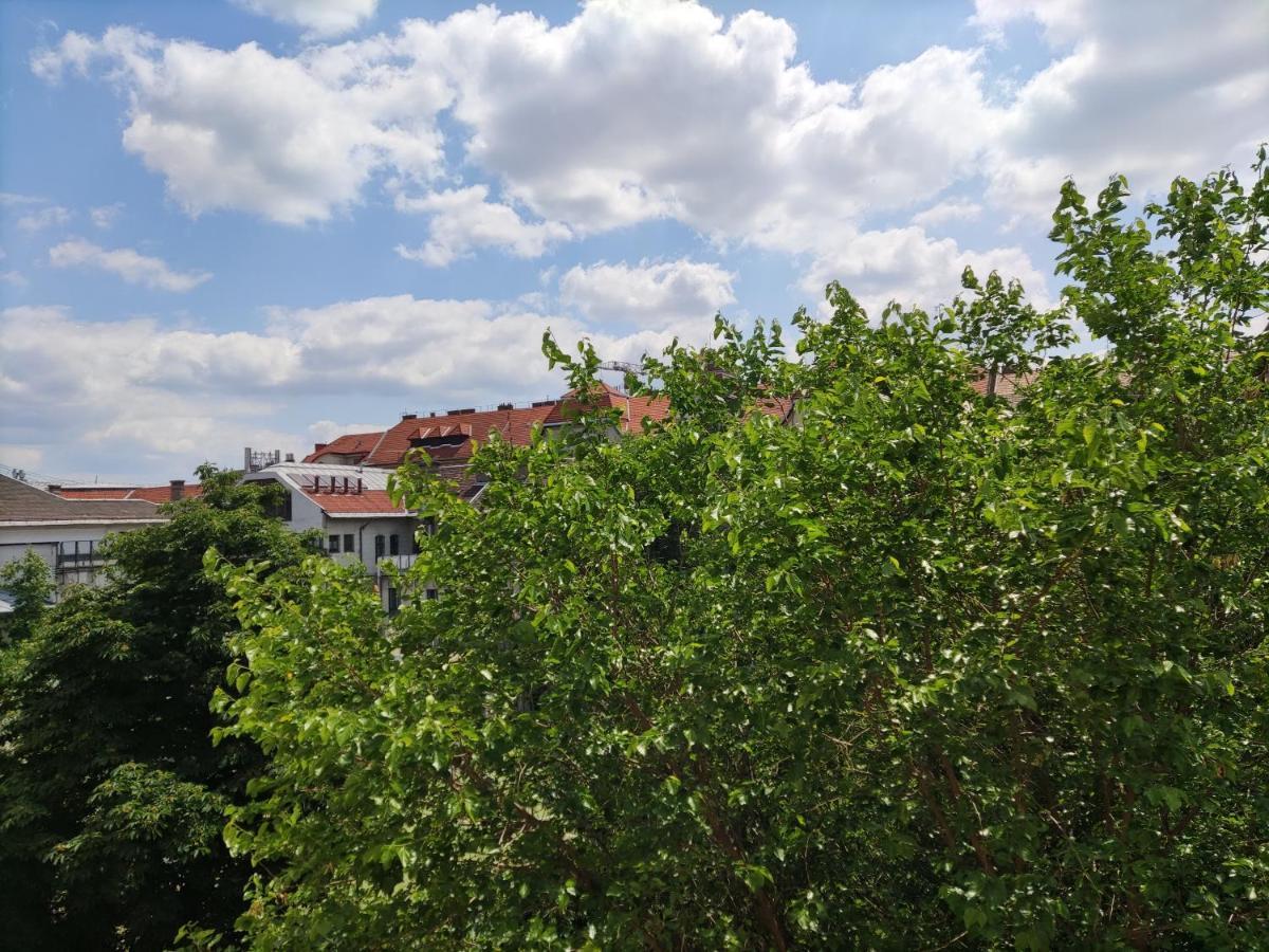 Park View, Close To River, Ac, Bauhaus Vibe, 2 Balconies ブダペスト エクステリア 写真